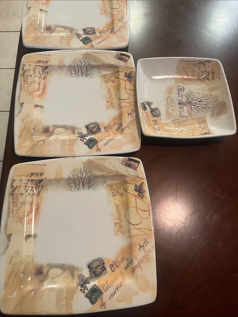 Square Ceramic Dinner Plates and Bowl Set in Beige Floral Script